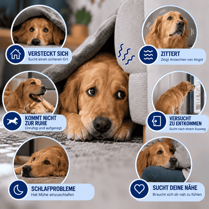 PawCalm™ Beruhigender Ohrenschutz